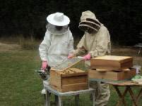 Charlye & Cecile inspecting the bee hives