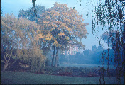 wp27225364_0f.jpg