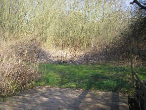 wp9ebb36d9_0f.jpg