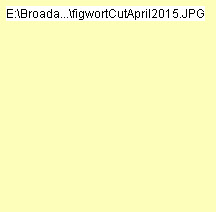 wpd49984c2_0f.jpg