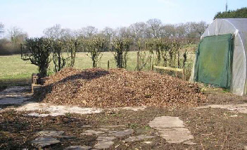 compost heap